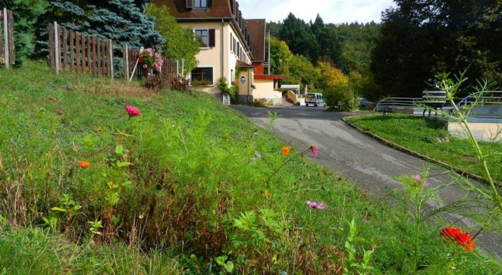 immagine slideshow