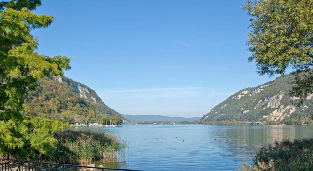 immagine slideshow