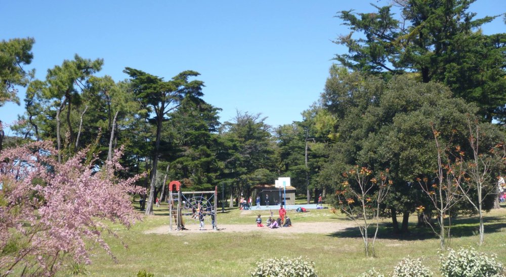 immagine slideshow
