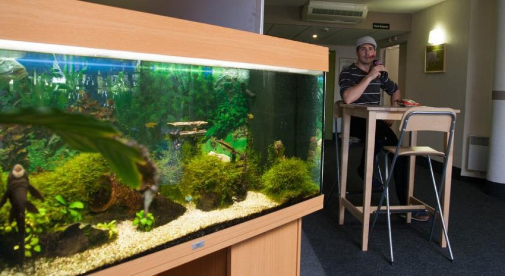 Diashow-Bild