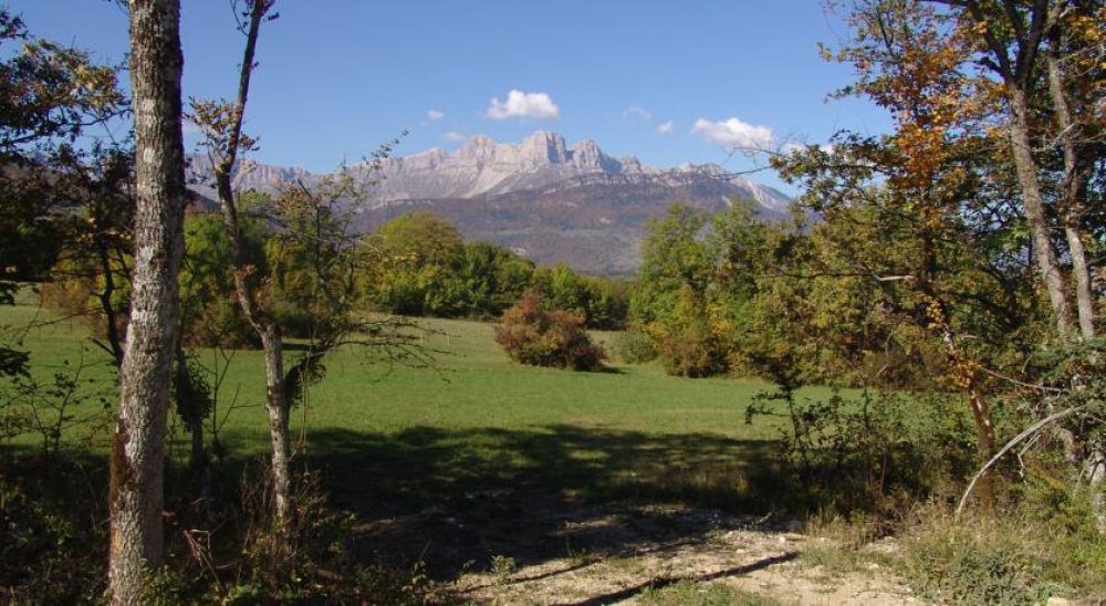 immagine slideshow