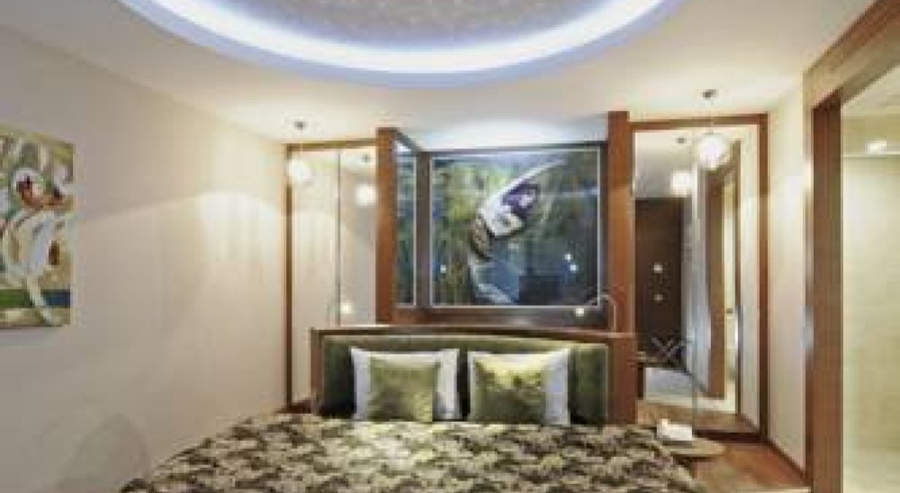 Diashow-Bild