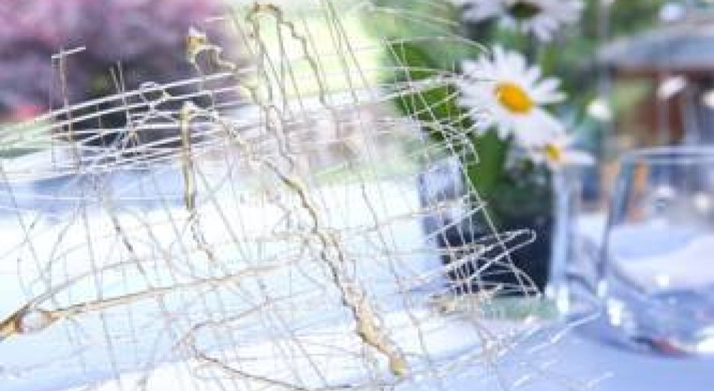 immagine slideshow
