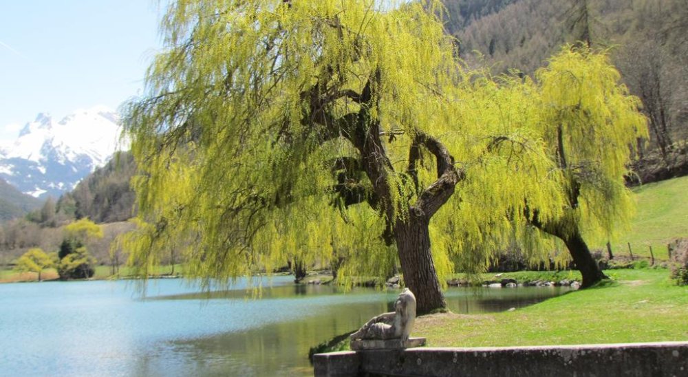 immagine slideshow