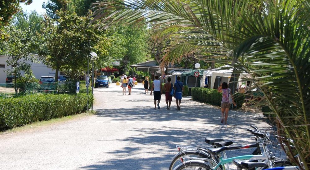 image diaporama