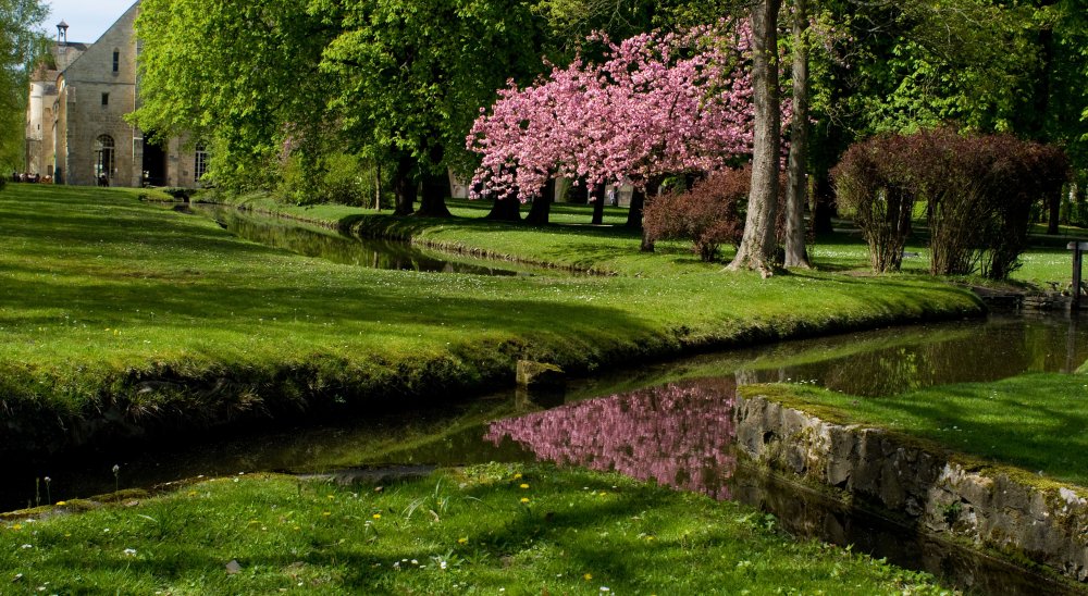 immagine slideshow