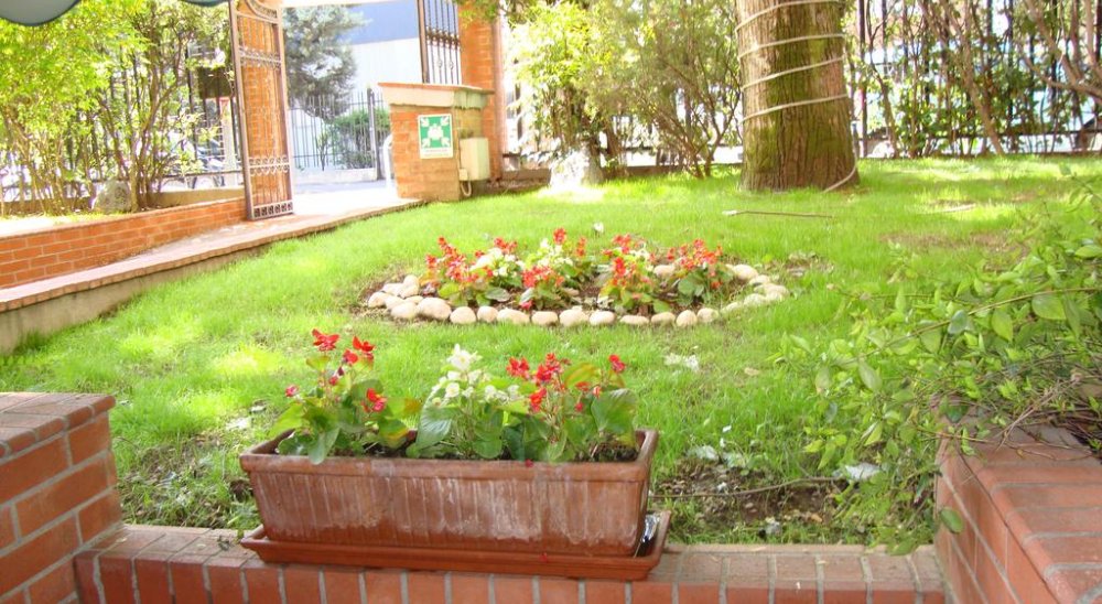 slideshow image