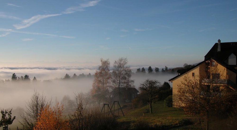 immagine slideshow