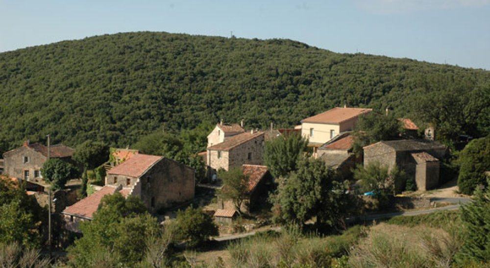 immagine slideshow