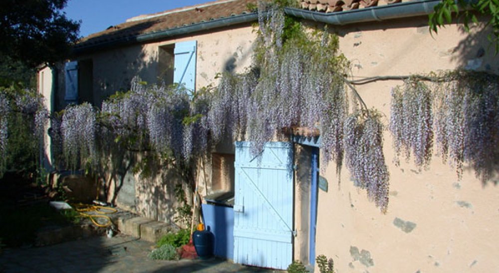 immagine slideshow