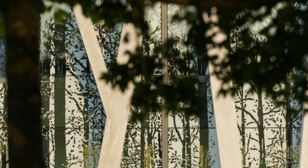 immagine slideshow