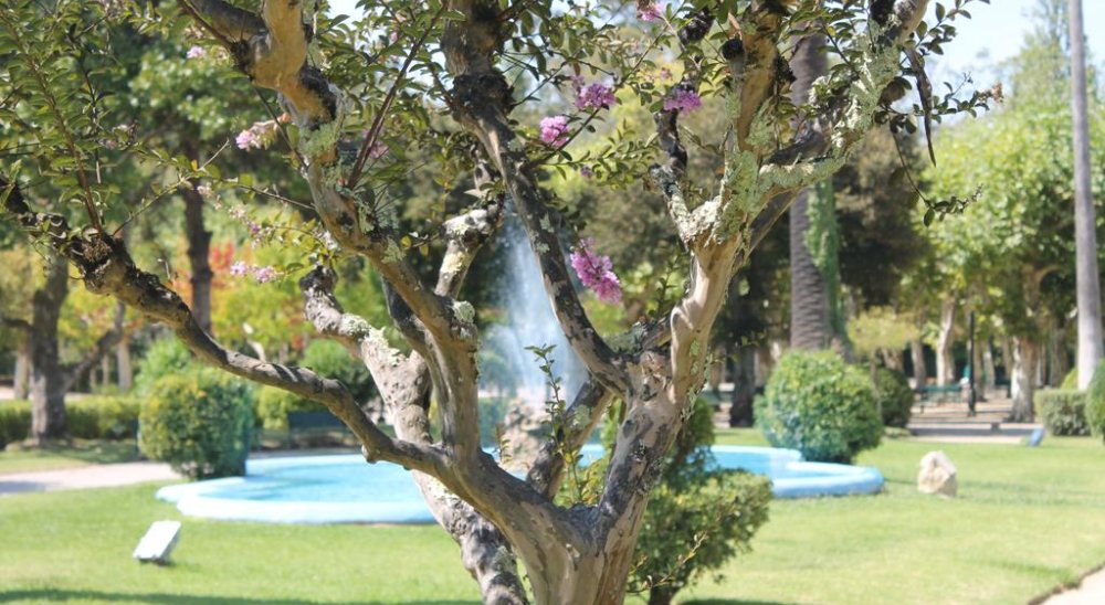image diaporama