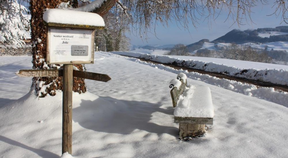 immagine slideshow