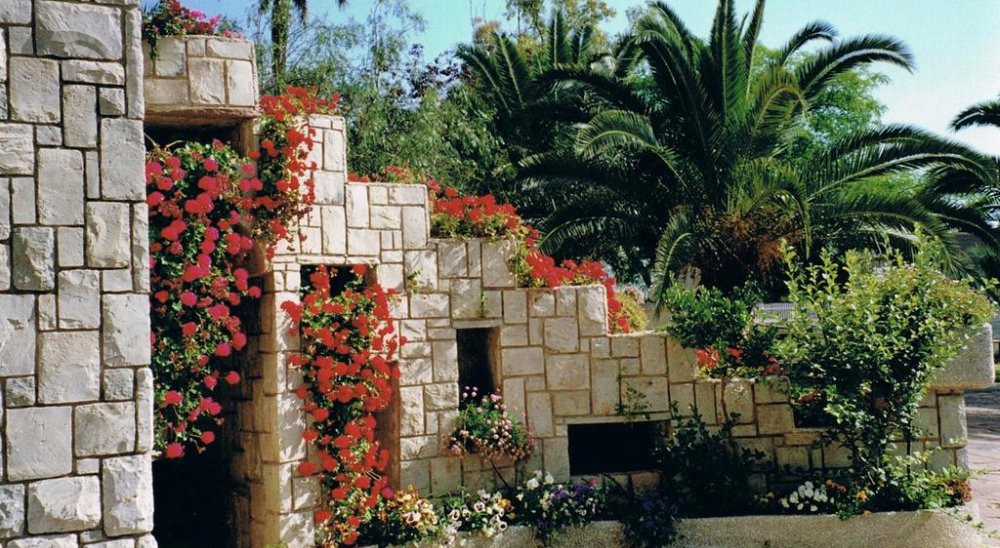 slideshow image