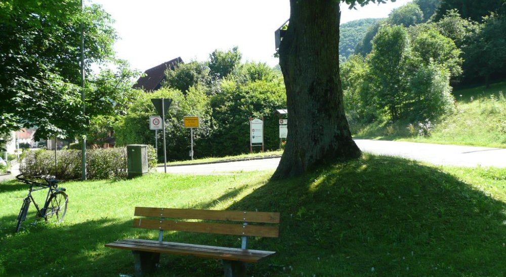 immagine slideshow