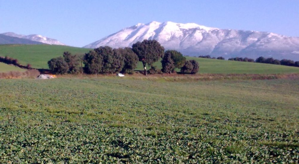imagen del diaporama