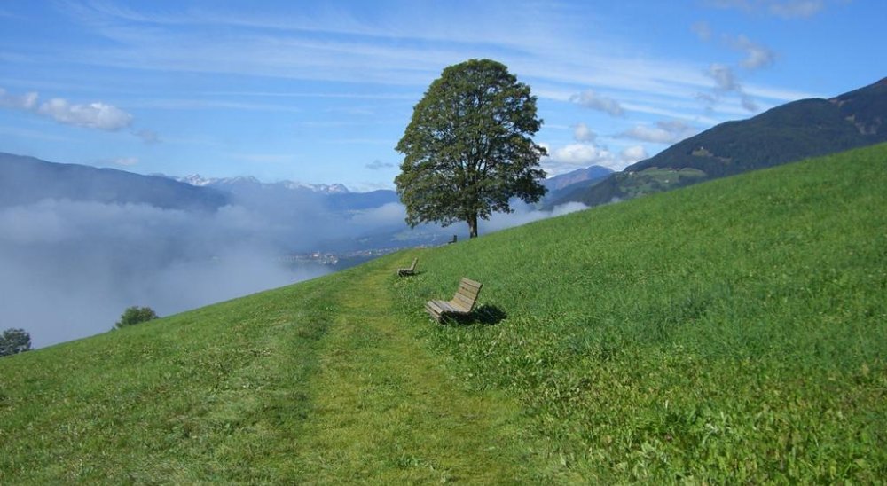 immagine slideshow