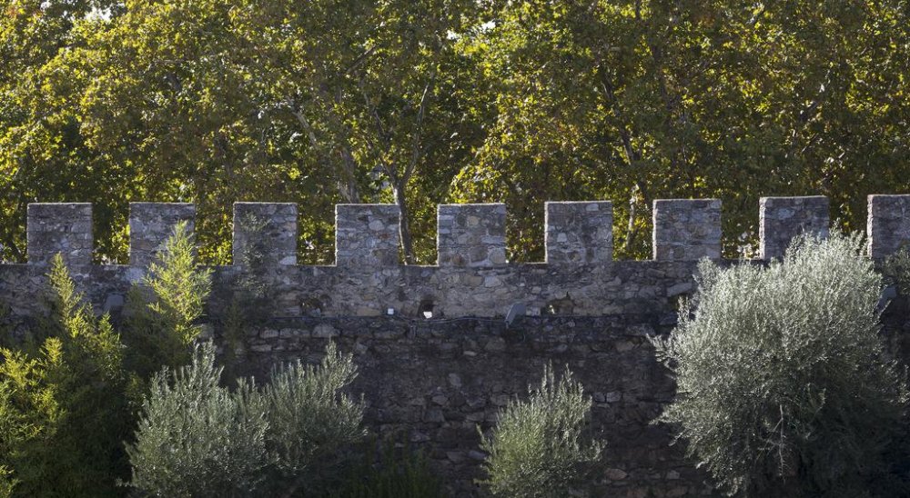 immagine slideshow