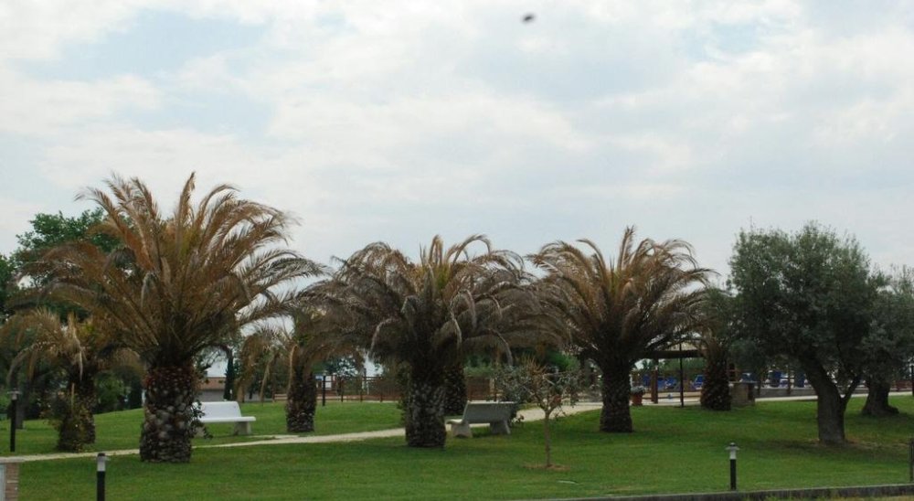 image diaporama