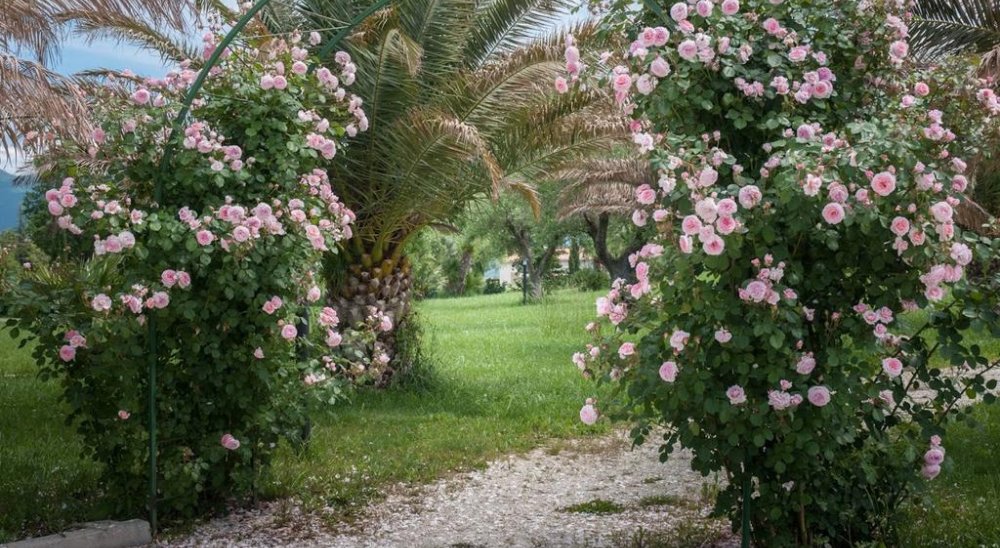 image diaporama