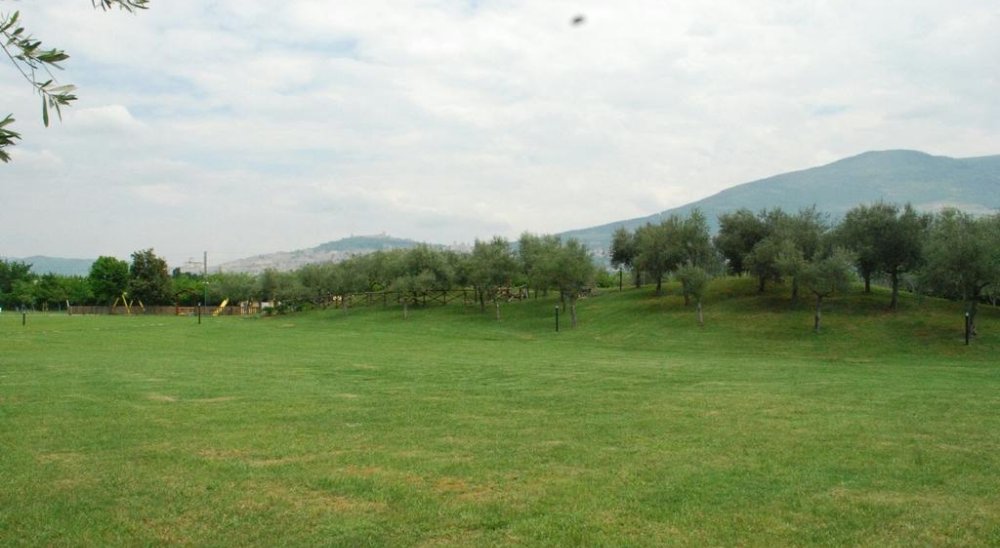image diaporama