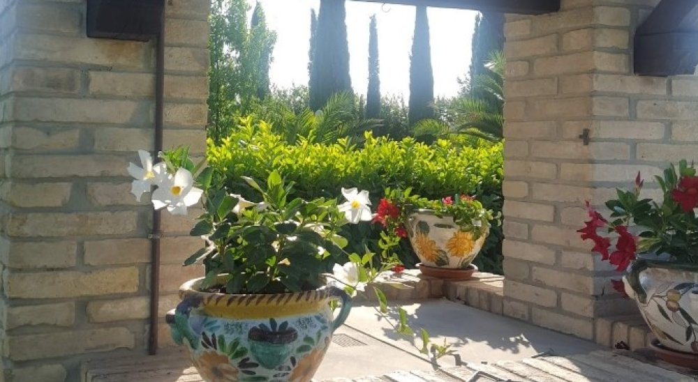 image diaporama