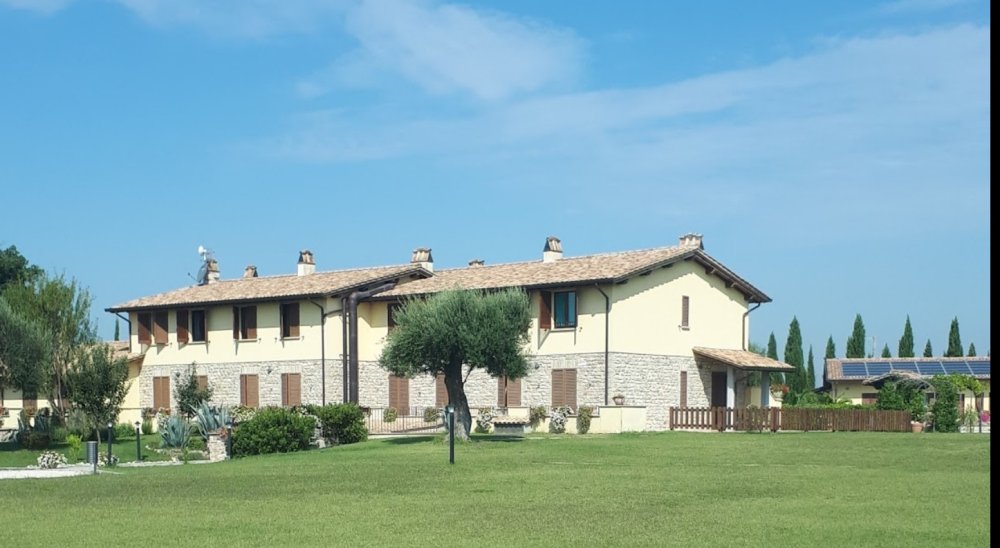 image diaporama