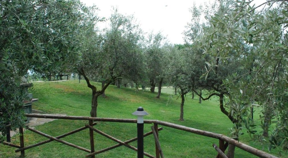 image diaporama