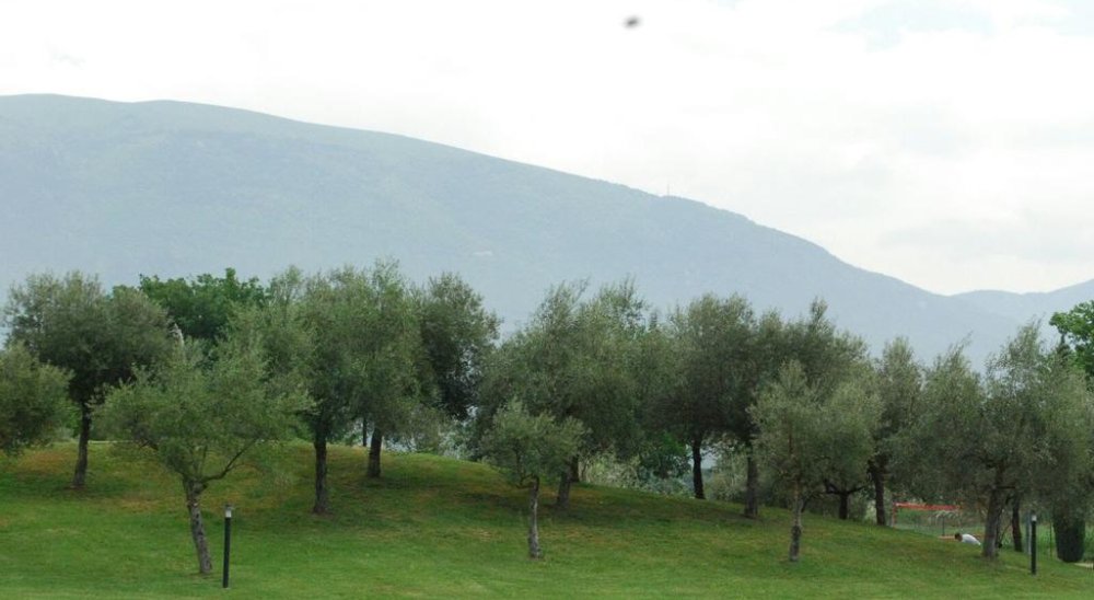 image diaporama