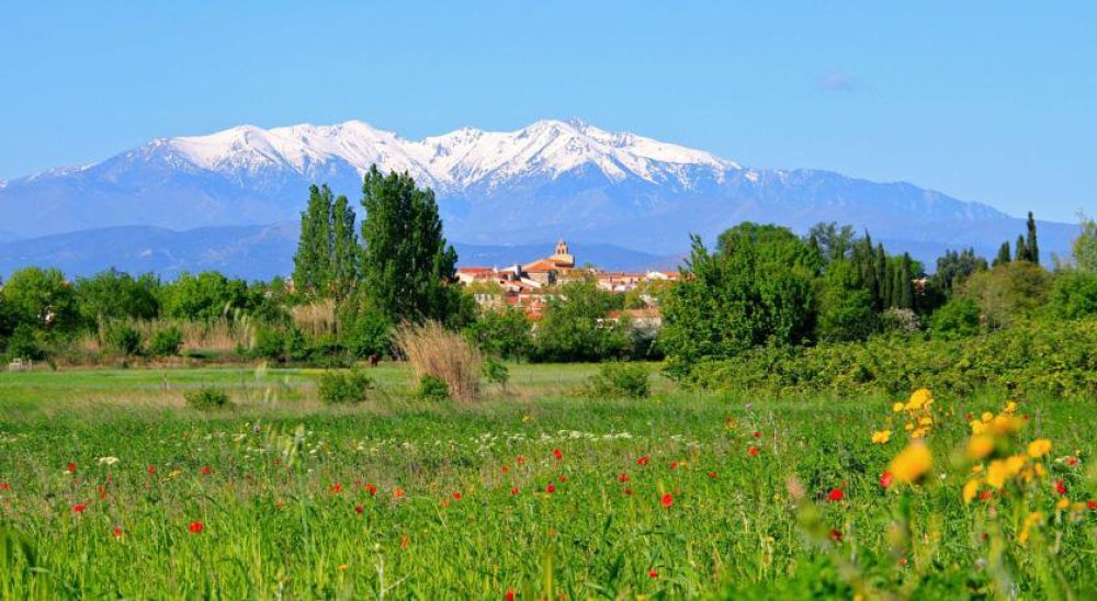 immagine slideshow