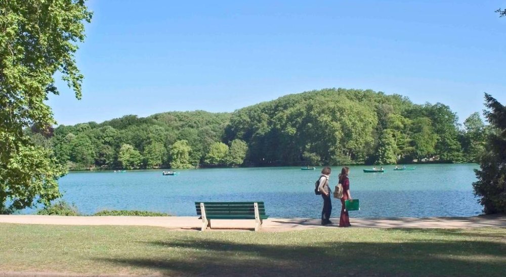 image diaporama