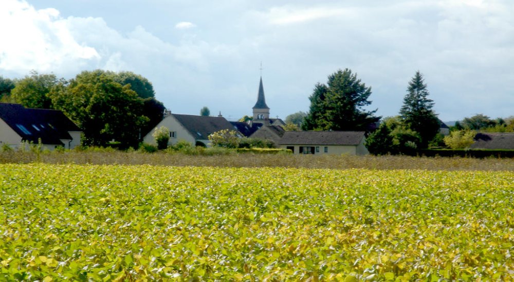slideshow image