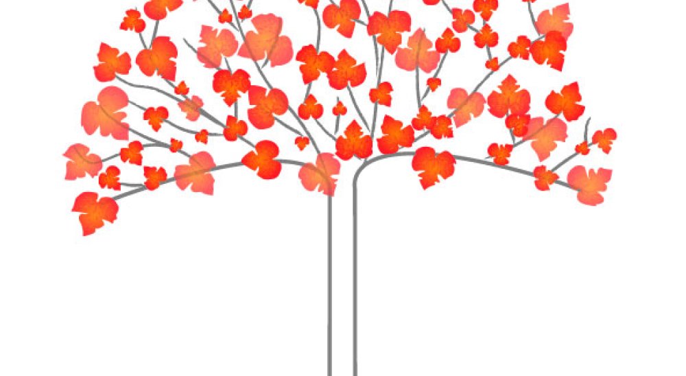immagine slideshow