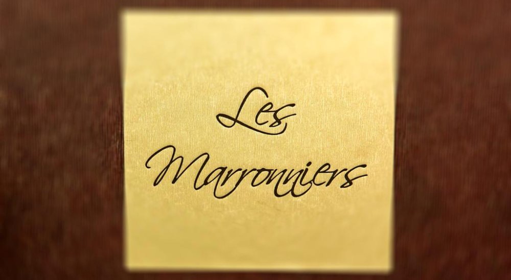 immagine slideshow