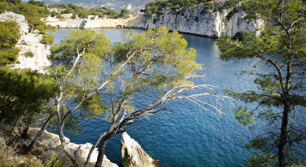 immagine slideshow