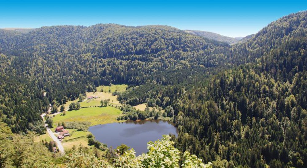 image diaporama
